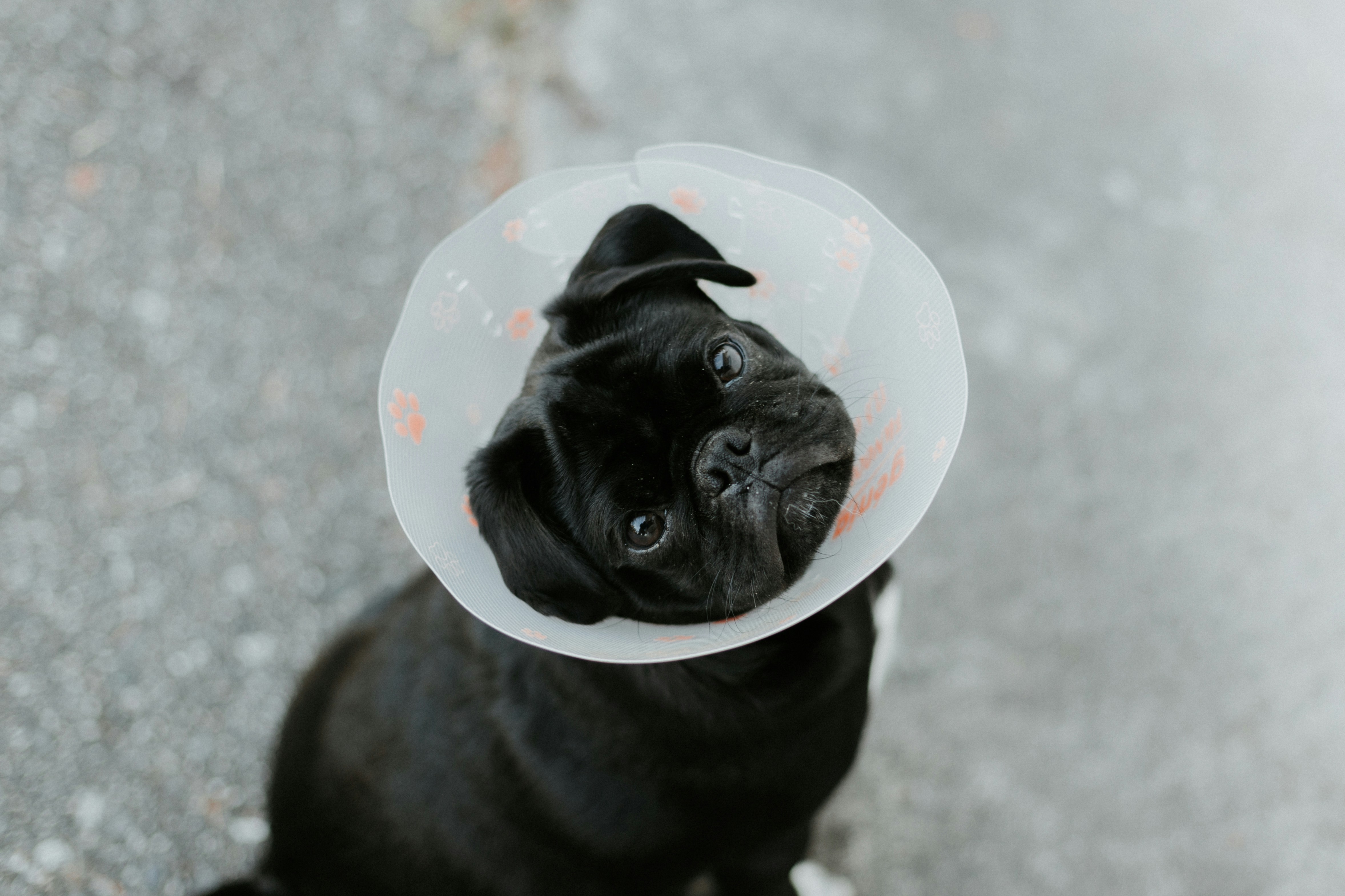 Professional care